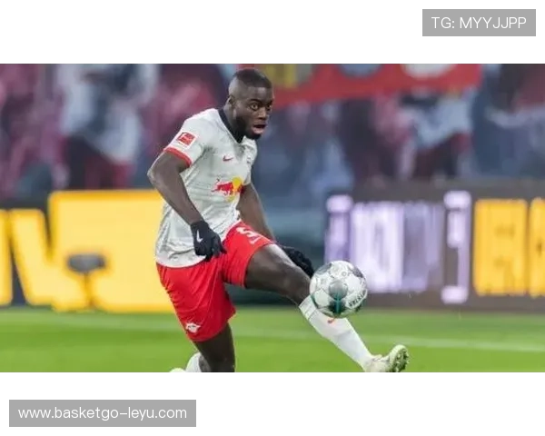 乌帕梅卡诺：法国防线核心，稳固后防展现超强实力